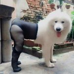 [19] 하얀피부에 <b>검스</b>