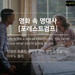 감동을 주는 영화대사 포레스트검프