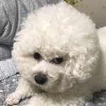 [드루와] 내 짝사랑 실패 썰 ^-^