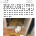 [드루와] 눈 지방 많은데 <b>쌍</b><b>액</b>하는애들아