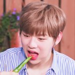 [강다니엘] 오랜만에 강고기
