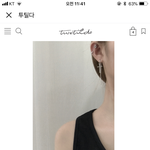 귀걸이 추반좀