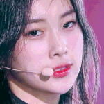 진짜 동료를 모으고 있는 몽키.D.<b>혜원</b>