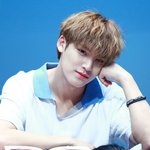 세븐틴 팀내 최장신과 최단신의 <b>케미</b>