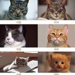 [댓글부탁해] 트와이스 <b>쯔위</b> 20살임....?