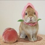 [조언부탁해] 너희는 <b>페미</b>에 대해서 어떻게생각해?