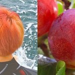 [방탄소년단] 이제 전! 정국 아니고