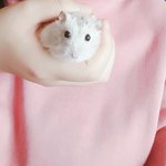 으..술마시고싶다
