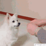 <b>화알</b>못 좀 도와줘