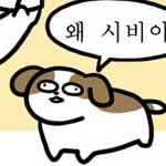 [드루와] 캘리포니아 소녀 사건 정리