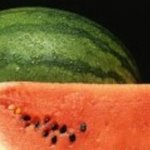 [19] <b>수박</b>짤 못봤으면 오거라~