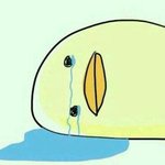 [방탄소년단] 맞아, 우린 이해못한게 아냐