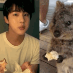 본격 <b>쿼</b><b>카</b> 닮은 아이돌ㅇvㅇ