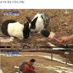 [드루와] 나 그 뭐냐 일반인이랑 연예인이랑 사귀는 <b>소설책</b>