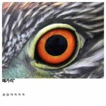 [<b>명랑</b>엽떡] 우리가 잘 모르는 생태계 최강자