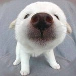 [19] 트젠들은 <b>트젠</b>아닌사람들처럼