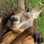 [댓글부탁해] <b>콧물</b> 참는법좀