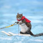 아 <b>매미</b> 개짜증나