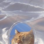 [댓글부탁해] <b>순정</b>만화처럼 생겼다는건 뭐임