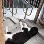 배그 좋아하는애들 유튜버 수진님도 봐바