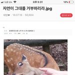 나보다 커뮤 많이 하는애 있음 ㅋㅋㅋ?