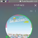 [세븐틴] 캐로시들 그거 알아?