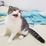 [댓글부탁해] 요즘 <b>짱</b>예쁘고 <b>안</b>흔한 후드집업 추천좀!!