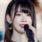 [모두드루와] 솔직히 판때문에 사쿠라