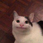 너희의 미래 추반