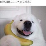 ㅠㅠ