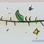 [<b>암</b>쏠단] 반갑숀☻