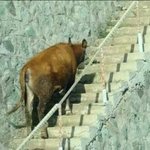 [19] 진짜 사람 찾고싶어