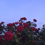 따뜻해진 바람에 코 <b>끝</b>이 찡해 미세하게 떨리는 네 <b>입술</b>에