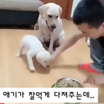 [댓글부탁해] 이 영상 꼭 봐라ㅠㅠ