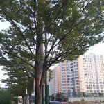 밤<b>새기</b>성공