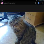 <b>세쿠</b>시한 짤