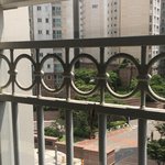 __ 방충망에 손바닥만한 <b>사마귀</b> 붙어있음;;;;