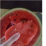 [명랑엽떡] 인싸들의 여름<b>별미</b> 수박 스테이크