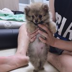 안녕하세요 ㅎㅎ!!