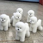 <b>탐폰</b> 얘기하니깐 생각난건데ㅋㅋㅋㄲㄱㄲㄱㅋ