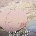 [드루와] 짝남 생일선물로 햄버거깊티 어때