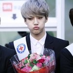 [댓글부탁해] 엑소 <b>세훈</b>이랑 이미지 비슷한 연예인 또 없나?