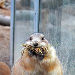 [드루와] 빵에 건크렌베리랑 <b>건포</b>도 넣는놈들 다 뒤져야됨