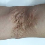 [도와주세요] (사진 혐주의)<b>민원</b>, 법 관련, 군법 관련 도움 부탁드립니다...