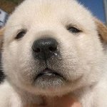 [ㅋㅋㅋㅋㅋ] 얘들아 내 <b>속눈</b>썹진짜어떡하냐ㅜㅜㅜ큐ㅠㅡㅜ