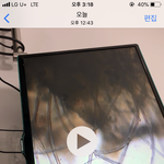 [강아지] 인천 **독 <b>펫샵</b>이 망했으면