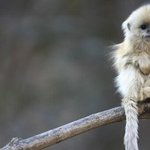 [19] 돈주면 특정 옷 입어줄 의양있다