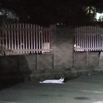 [드루와] 고양이가 원래 이렇게 <b>길어</b>?