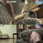 [EXO] 헐 ㅠㅠㅠㅠㅠㅠ슬퍼