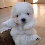 [EXO] 아 이거 <b>조나</b> 배쿠같음..ㅋㅋㅋㅋ